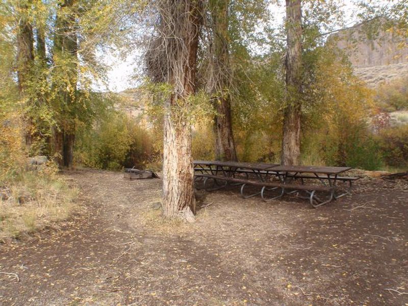 Picnic Table Dining area