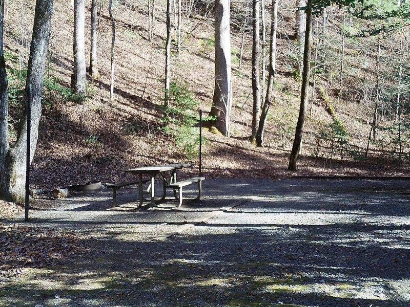 Site #17 is located across the road from site #16, not on the water but can't miss the sounds from this site from both the creek and the waterfalls just around the corner.