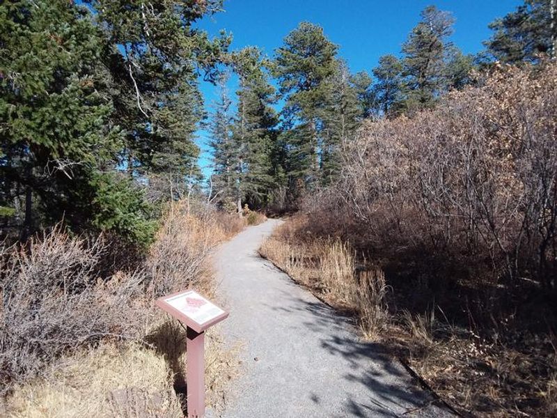 Balsam Glade Picnic Site Trail Entrance to La Madera Canyon Overlook