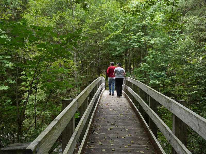 Trail bridge leaving North Fork Campground