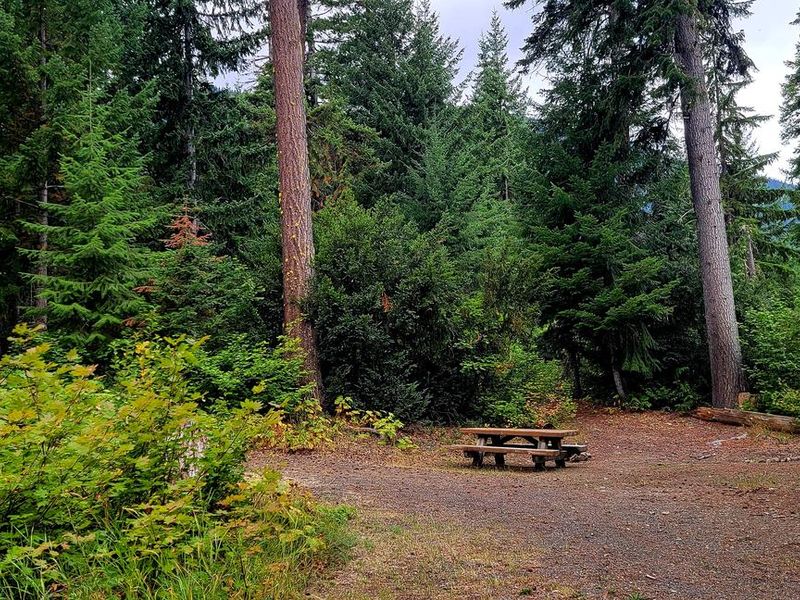 Black Pine Horse Camp - Site 3

