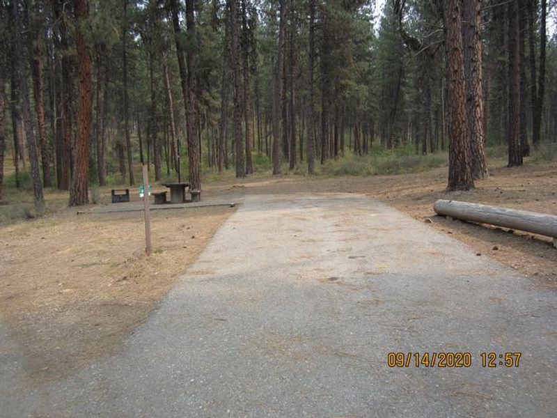 Site 13 at Grayback Gulch.
