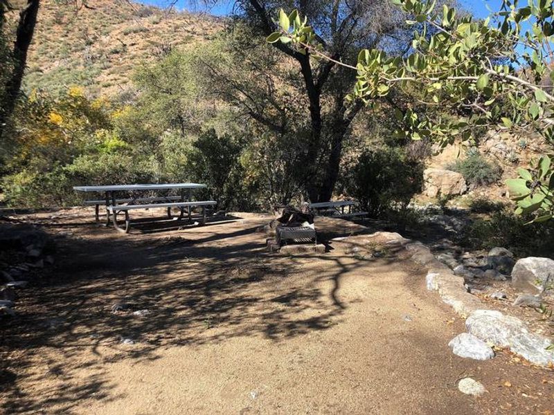 Picnic/Camp Sites nestled in forest adjacent to group area.