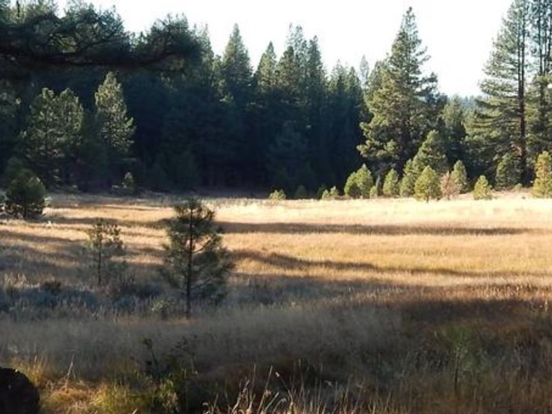 Boca Spring Campground