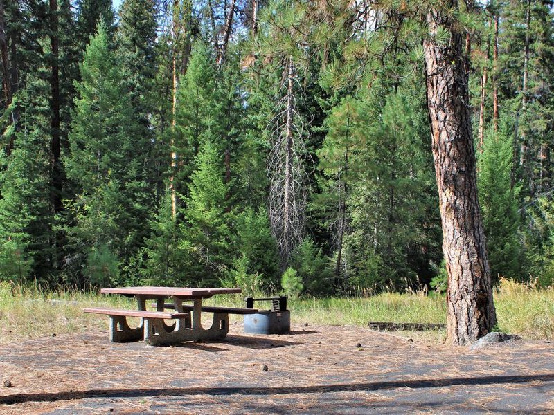 Four Mile Campground Site #2.