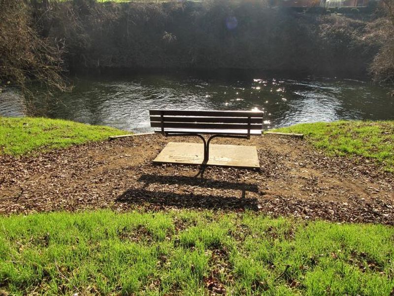 Bench along the banks of the Stanislaus River, great for fishing and wildlife viewing