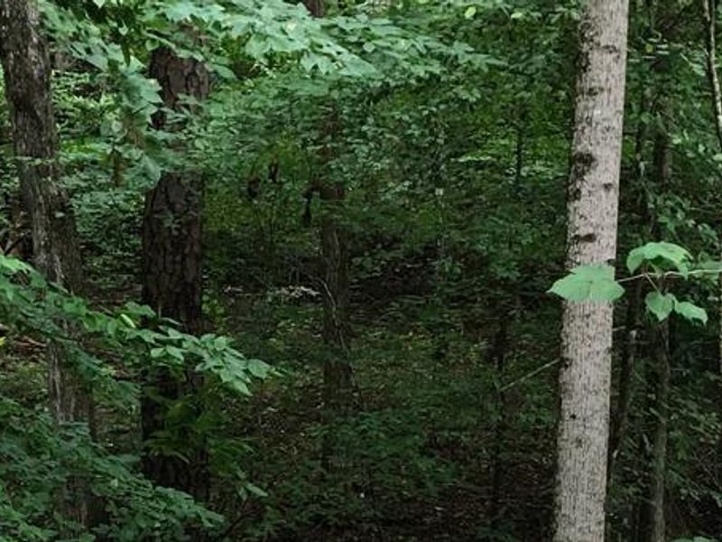 Parksville Lake RV Campground