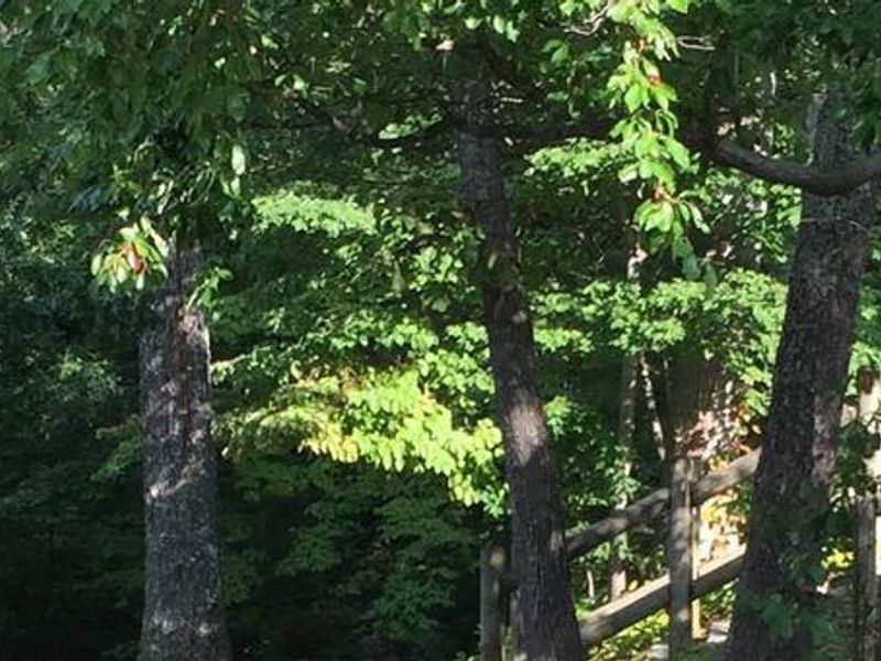 Chilhowee Campground