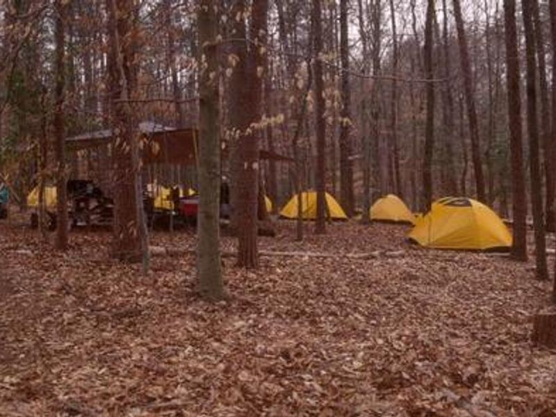 Campers in Turkey Run Group Campground