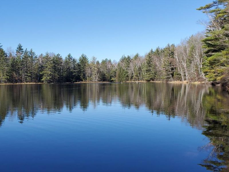 View of Irwin Lake in the late fall 