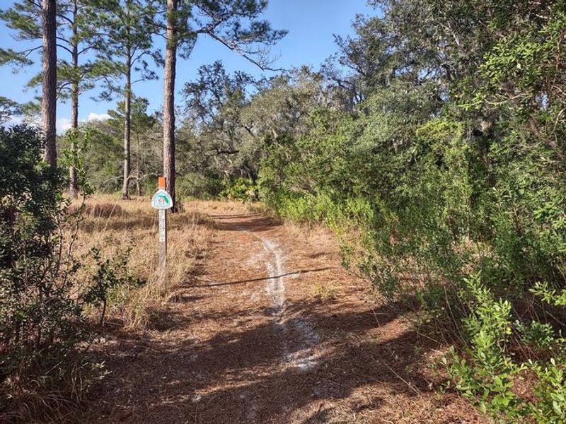 Florida National Scenic Trail