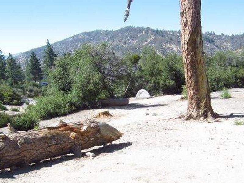 View from Campsite Looking North. 
