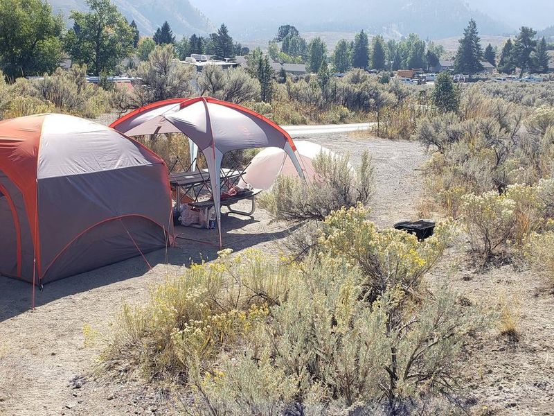 Mammoth Campsite #66