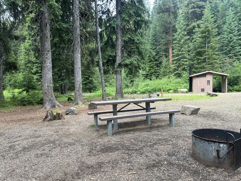 Huckleberry campsite #4