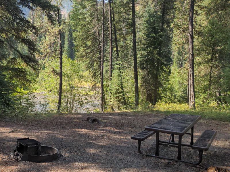 Campsite overlooking the South Fork Salmon River.