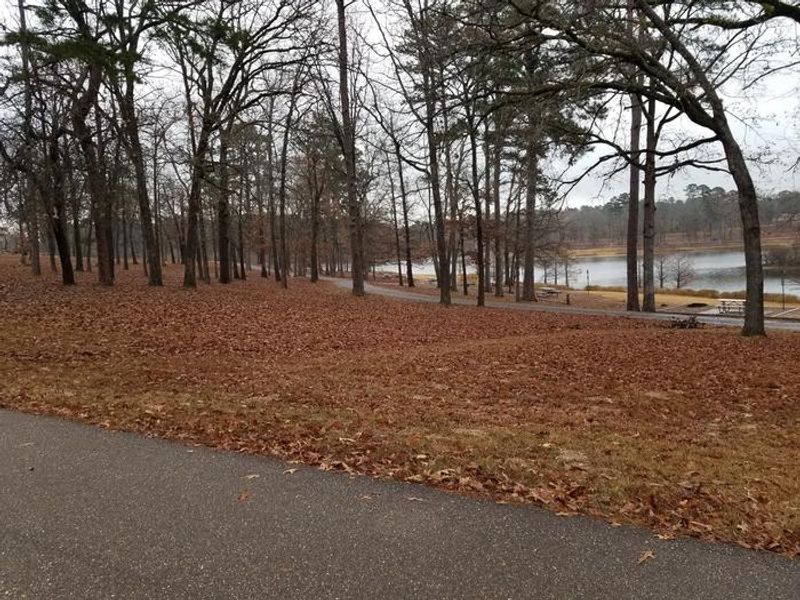 Buckhorn Tent Area 1