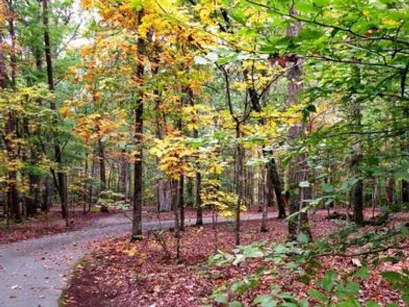 Oak Ridge Campground loop in fall