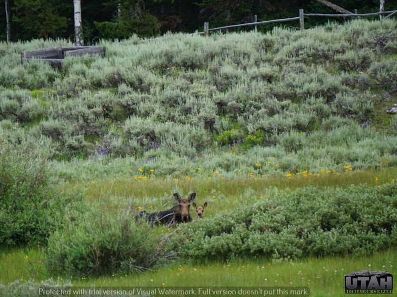 Meeks Cabin Campground