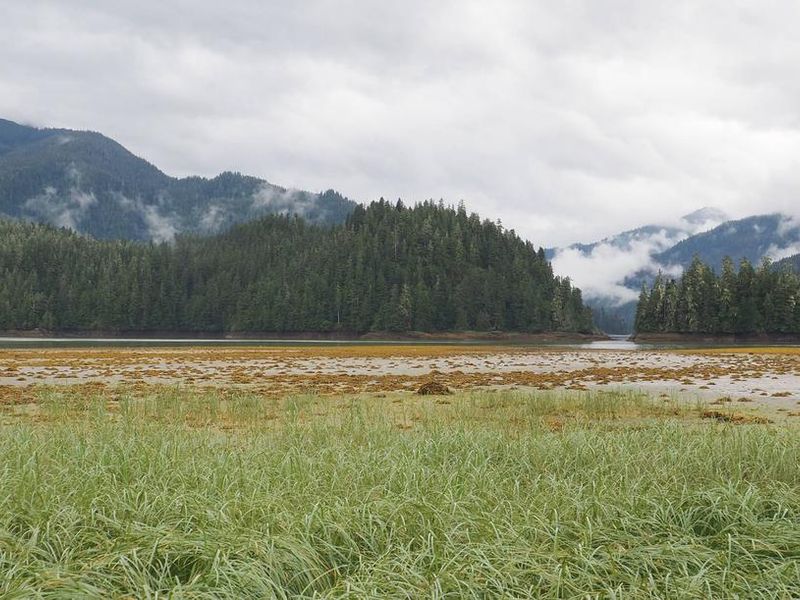 View from Harding River Cabin
