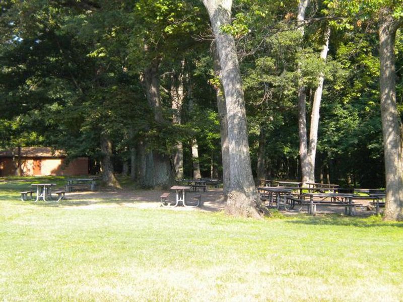Picnic Area C  has restroom located in the area, the tables are under the trees