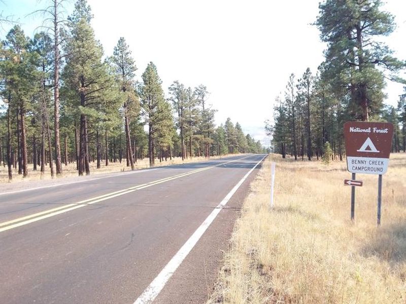 Benny Creek Campground