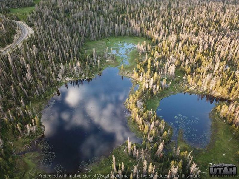 MIRROR LAKE CAMPGROUND