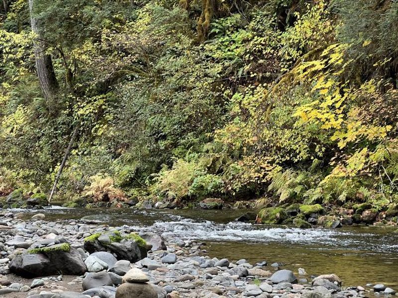 South Santiam River at Trout Creek Campground