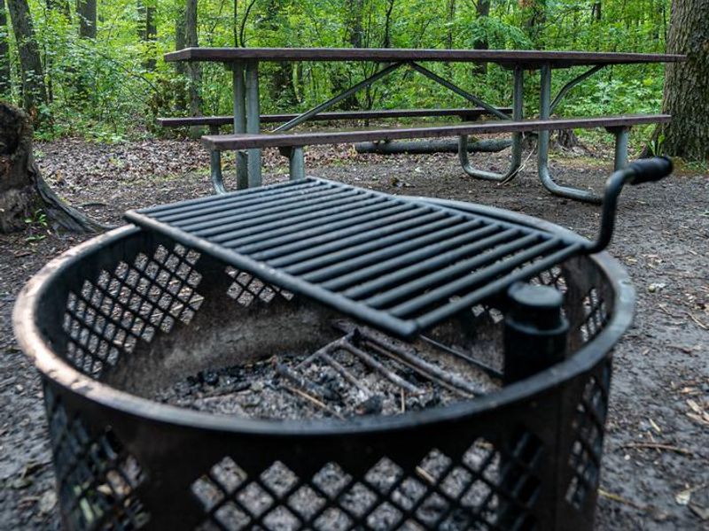 Blueberry Patch campsite