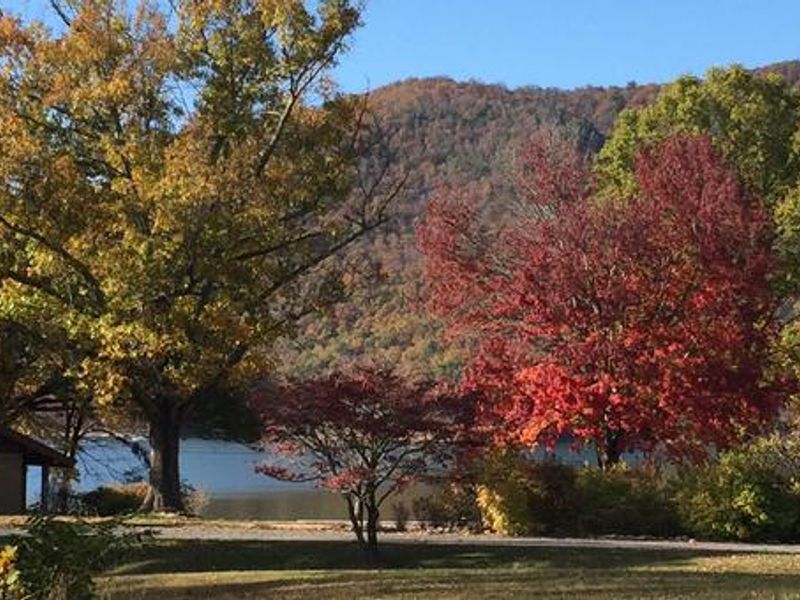 Watauga Point Day Use Area