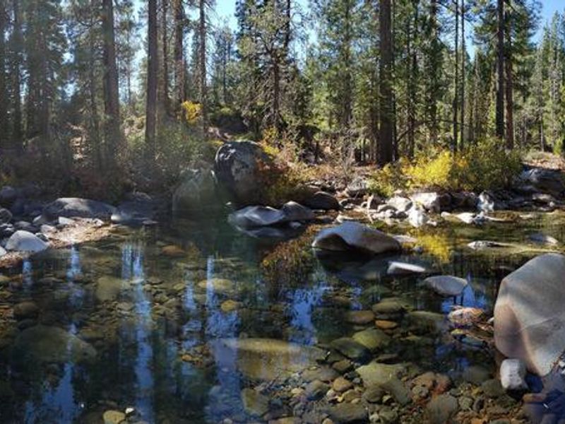 Headwaters of French Meadows Lake near Aspen Group Campground.