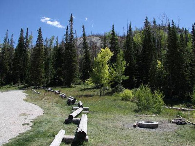 Site at Willow Lake Campground