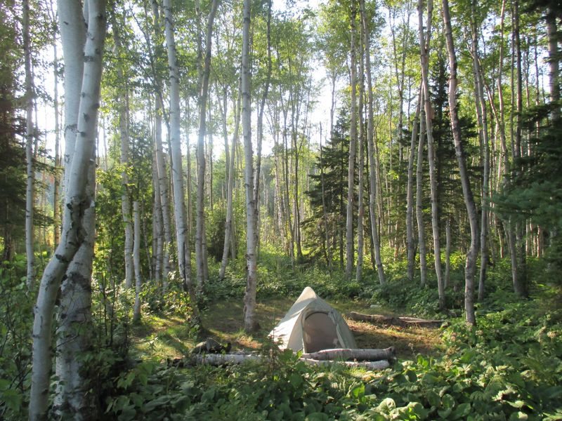 Paddling the interior of Isle Royale will bring you to the most remote campgrounds in the park.