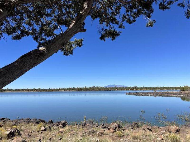 Ashurst Lake view from Forked Pine Campground