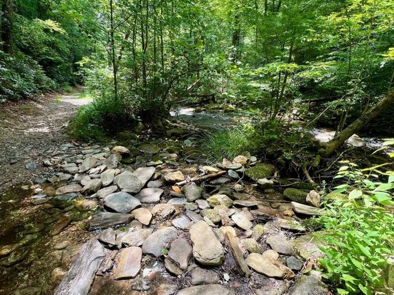 Prepare to get your feet wet.
