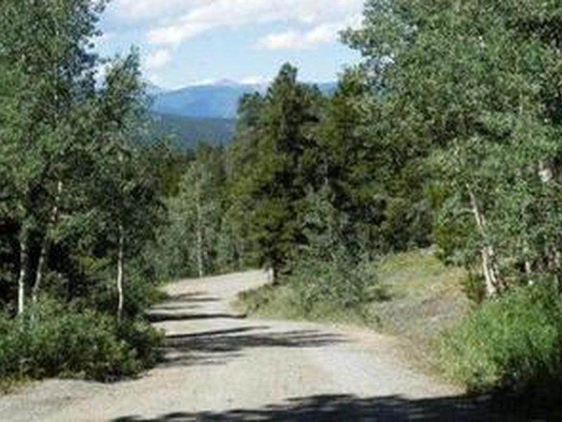 Road to Cold Springs