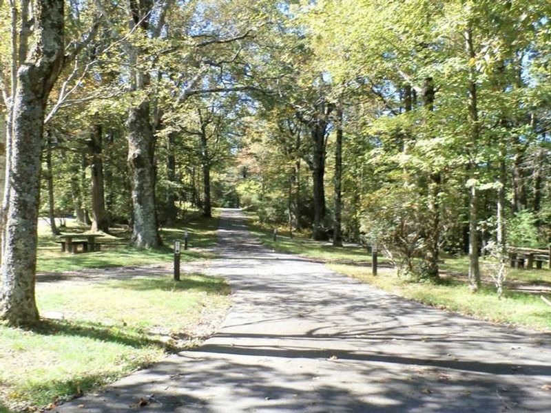 The RV loop at Doughton Park.