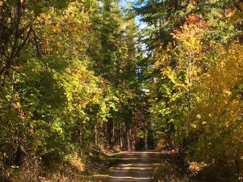 Colville National Forest