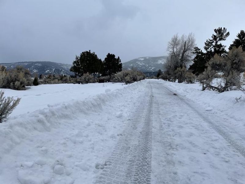 Mammoth Campground roads are plowed in the winter, however you may need to bring a shovel to clear entry to your campsite.