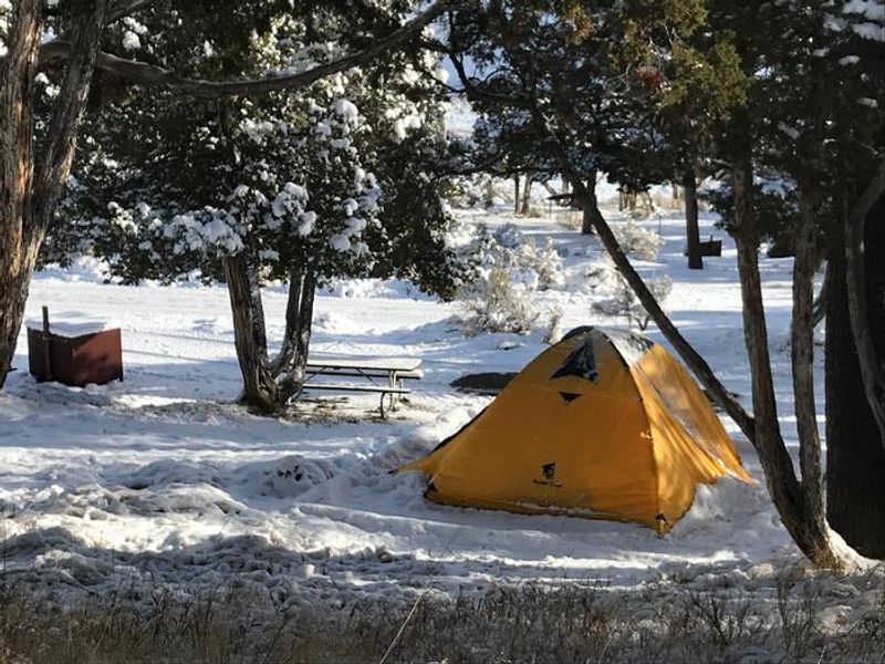 Mammoth Campsite #72 in fall snow