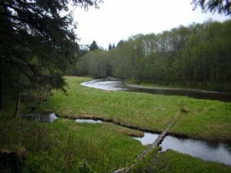 Admiralty Cove Creek