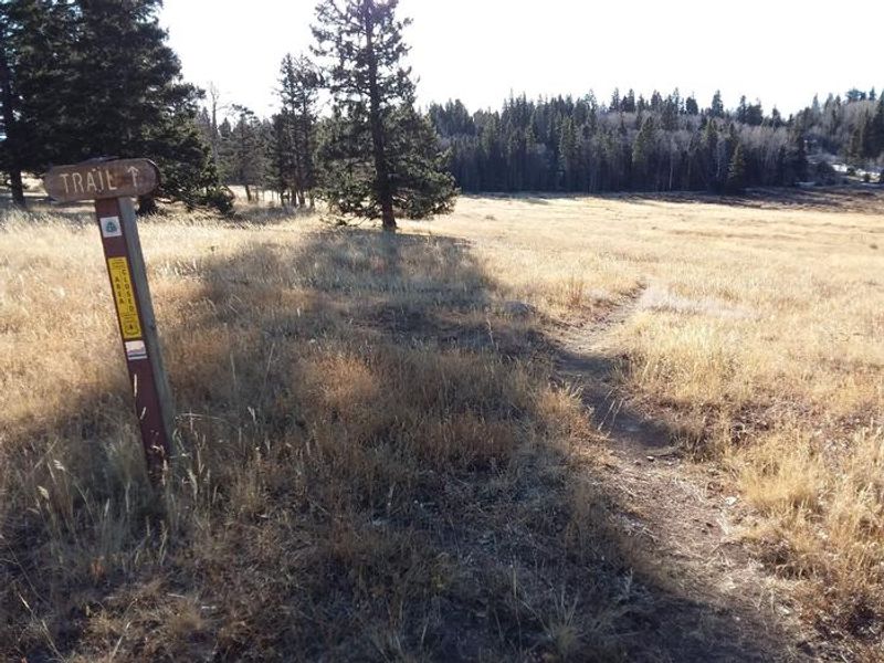 Hopewell lake trailhead