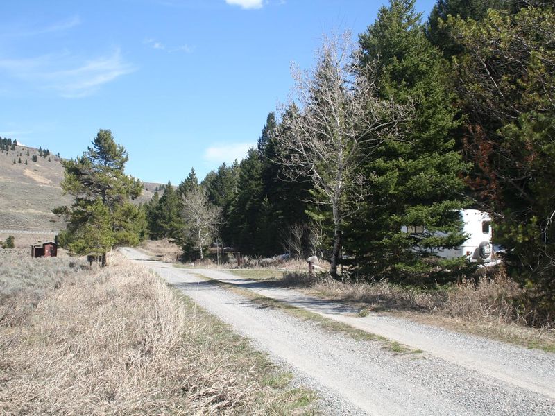 Main driveway through Madison River Campground