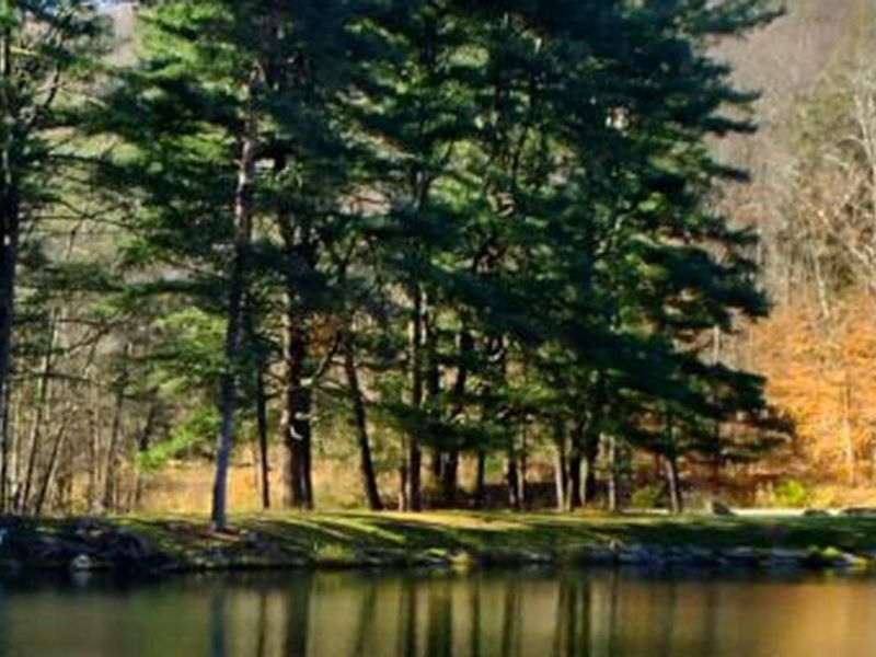 peaceful, waterfront camping