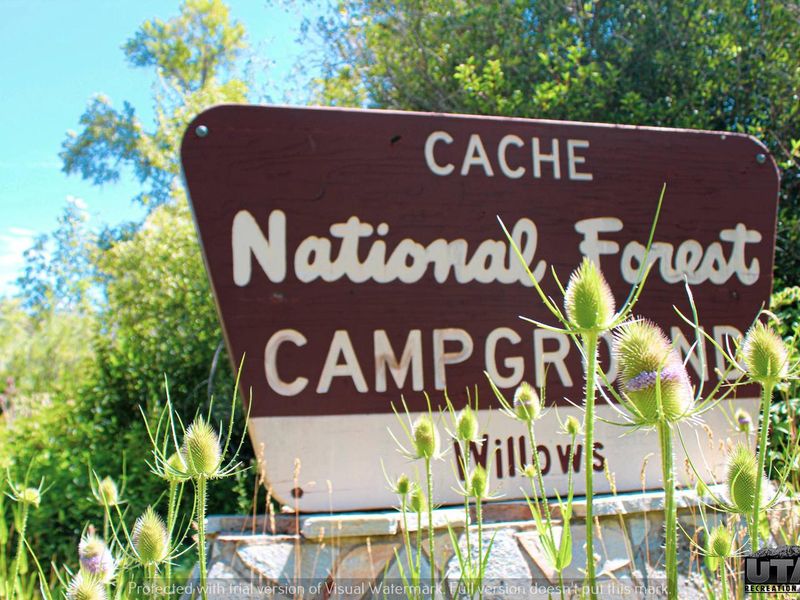 Willows Campground sign