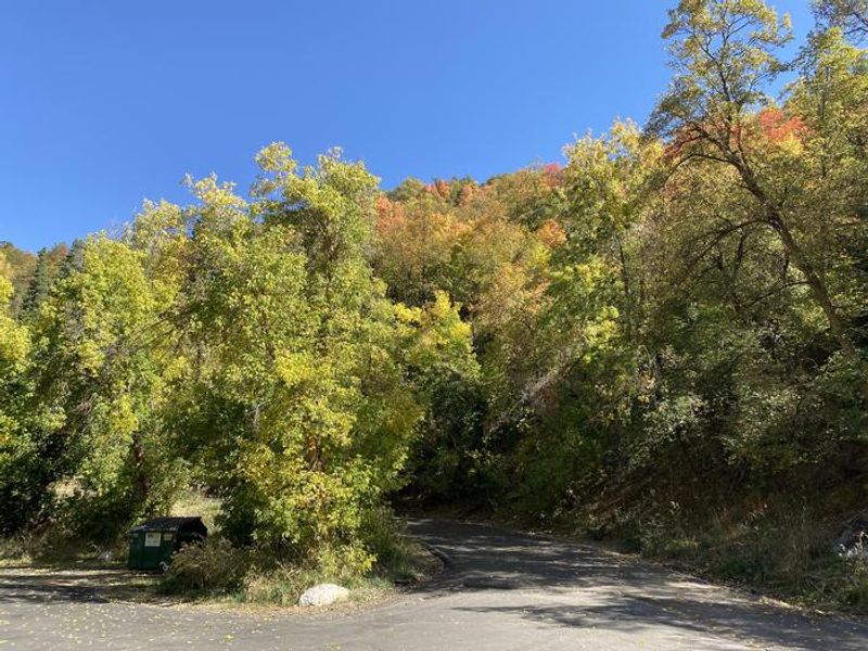 A photo of facility MUELLER PARK GROUP PICNIC with No Amenities Shown