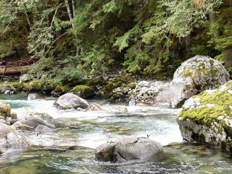 View of Goodell Creek from below Upper Goodell Group Campsite