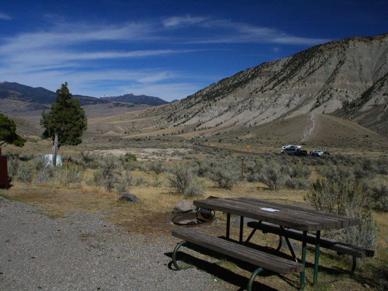 Mammoth Campsite #31