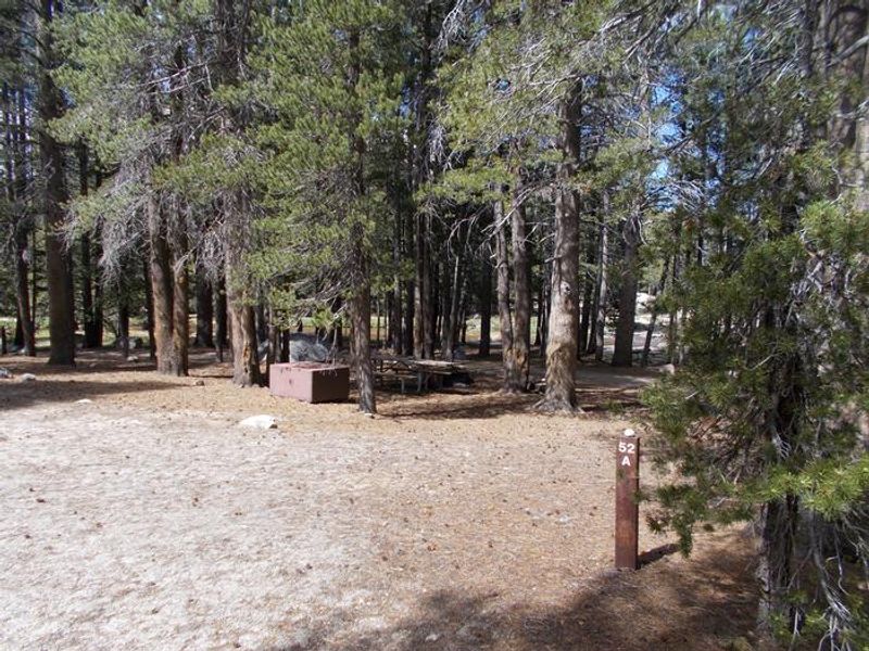 A52, Tuolumne Meadows 24ft RV Site