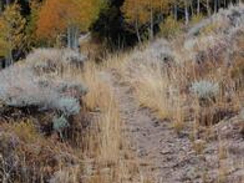 Hiking trail in autumn