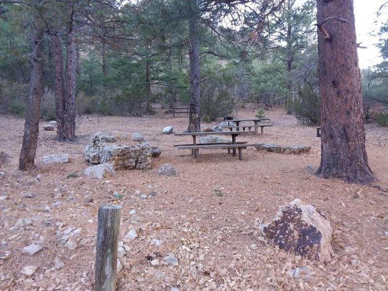 Picnic tables going up the hill.